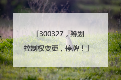 300327，筹划控制权变更，停牌！